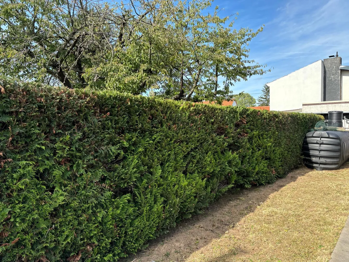5 Zimmer Haus mit 150 m² in Bad Kreuznach – Bild 10