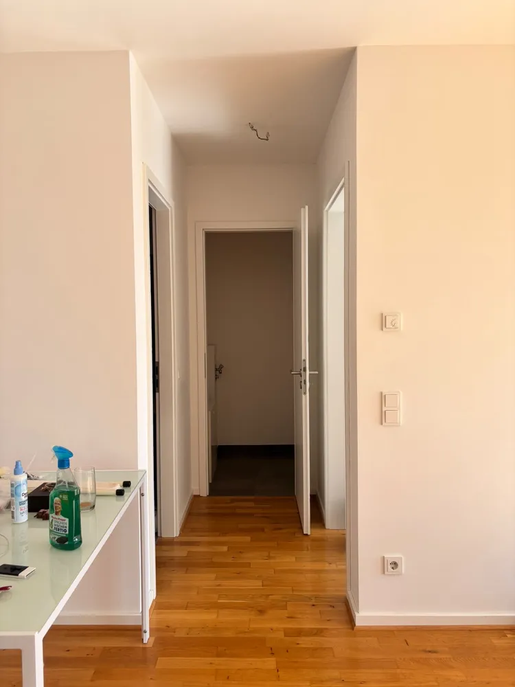 2 room apartment with 55 m² in Dresden – Photo 6