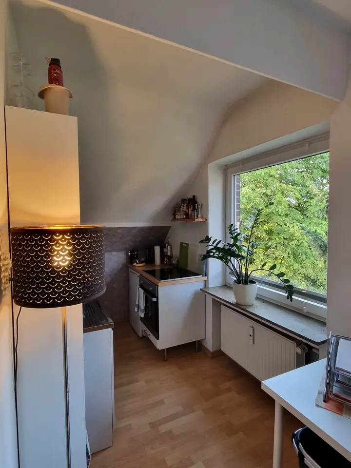 2 Zimmer Wohnung mit 30 m² in Osnabrück – Bild 2