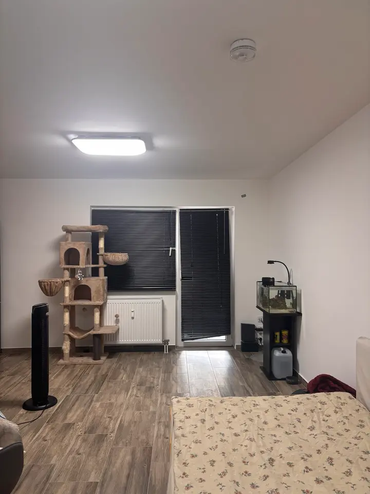 Studio mit 31 m² in Mannheim – Bild 1