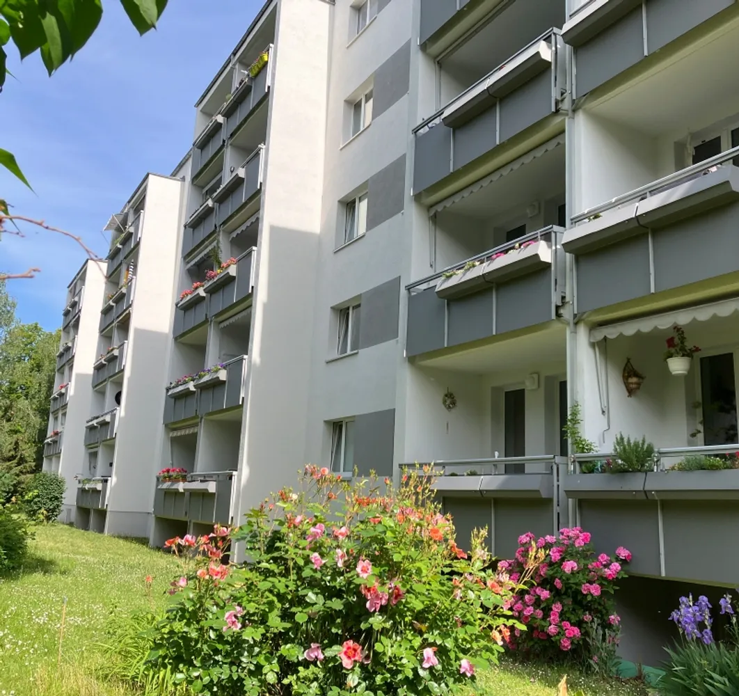 2 Zimmer Wohnung mit 53 m² in Dresden – Bild 1