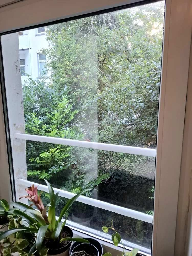 2 room apartment with 36 m² in Dortmund – Photo 6