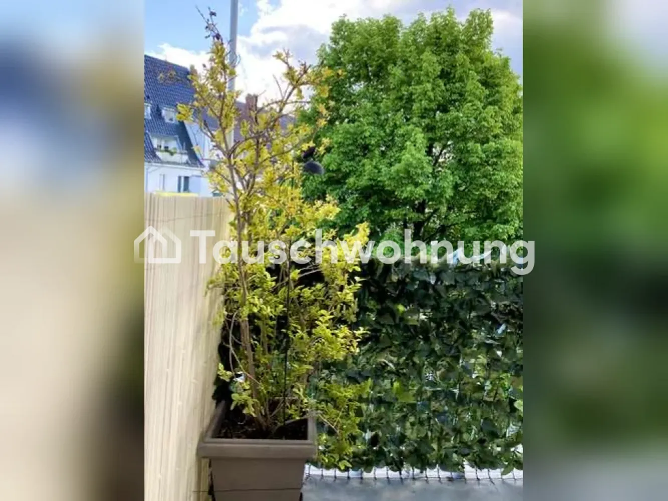 3 Zimmer Wohnung mit 67 m² in Köln – Bild 5