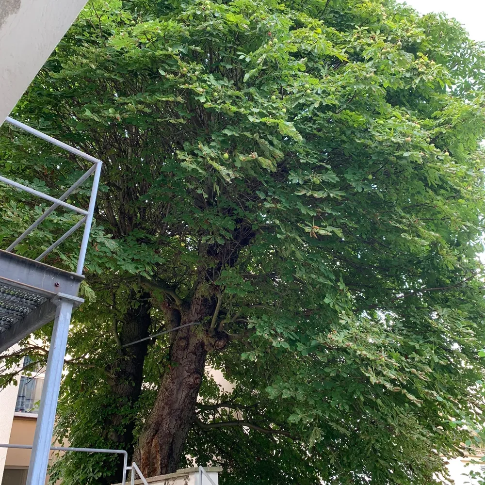 4 Zimmer Wohnung mit 125 m² in Osnabrück – Bild 8
