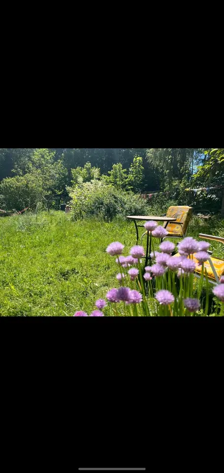 WG-Zimmer mit 500 m² in Grimma – Bild 3