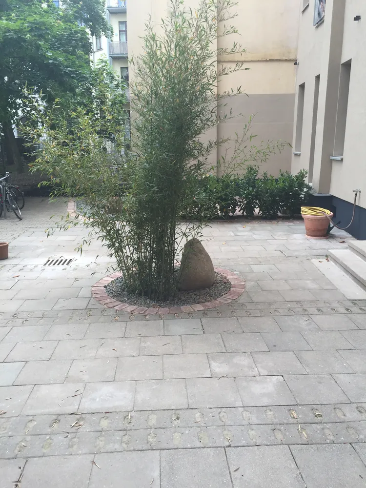 2 Zimmer Wohnung mit 58 m² in Magdeburg – Bild 12