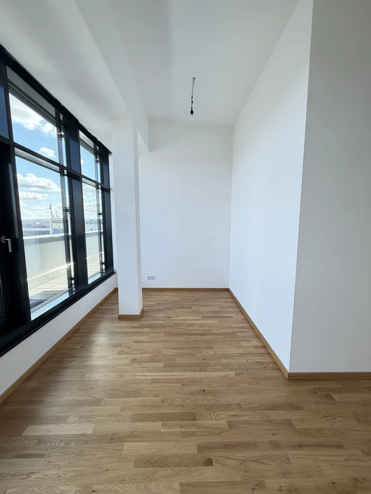 4 Zimmer Wohnung mit 210 m² in Dresden – Bild 5