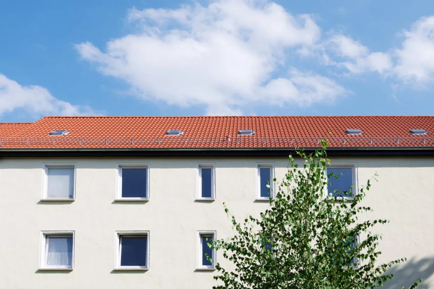 2 room apartment with 38 m² in Aschersleben – Photo 2