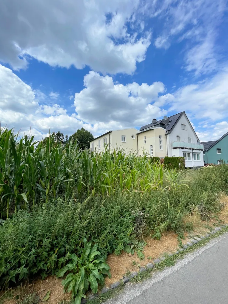 2 Zimmer Wohnung mit 89 m² in Mülheim an der Ruhr – Bild 2