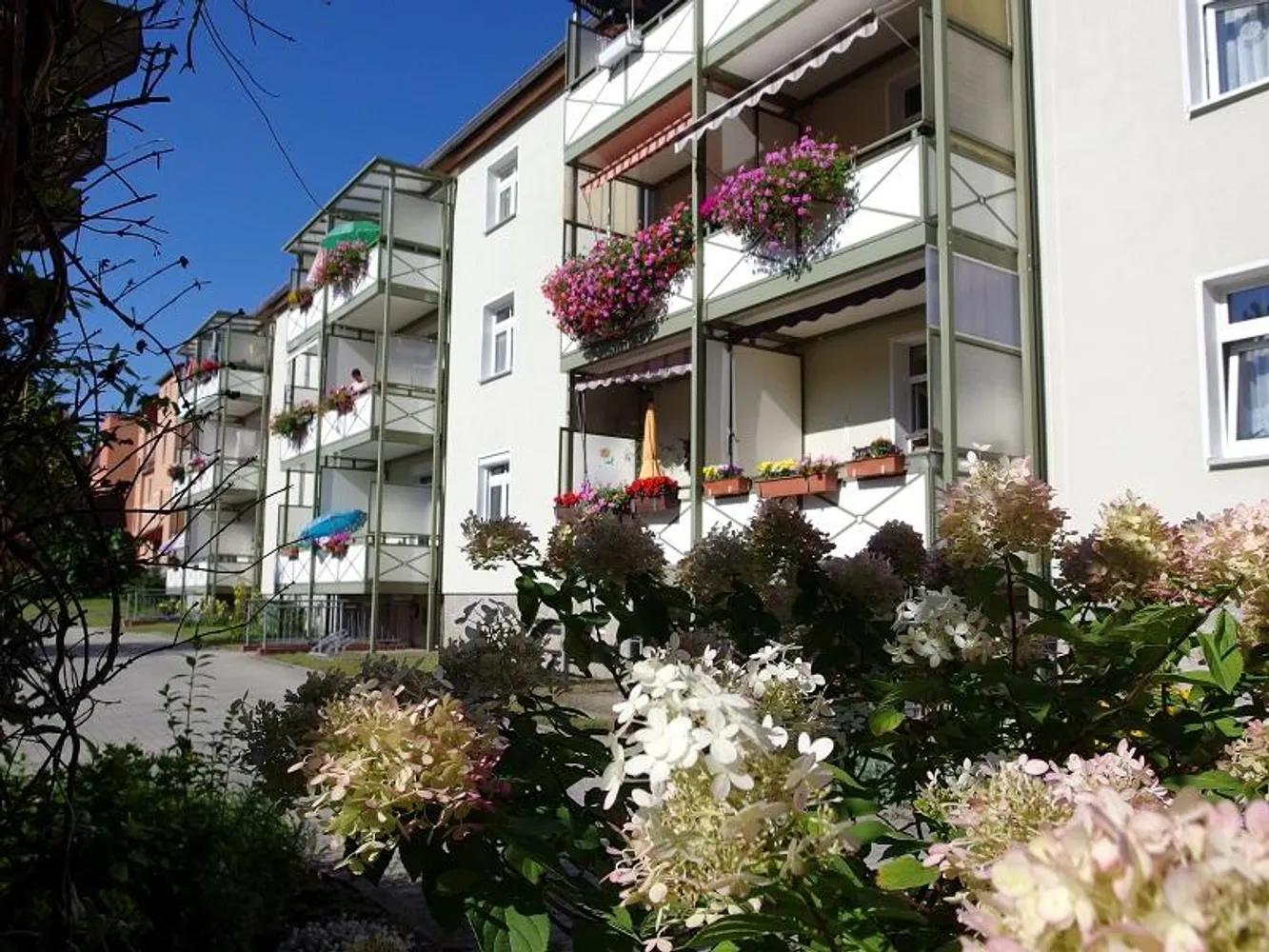 2 room apartment with 50 m² in Kamenz – Photo 2