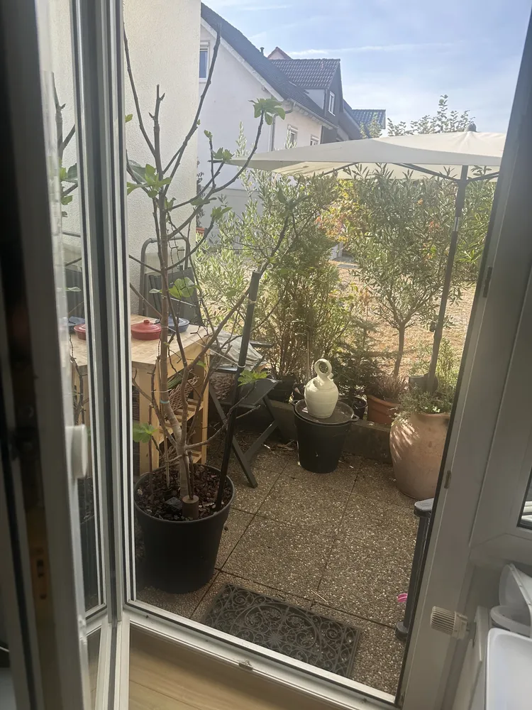 1 room apartment with 37 m² in Mannheim – Photo 4