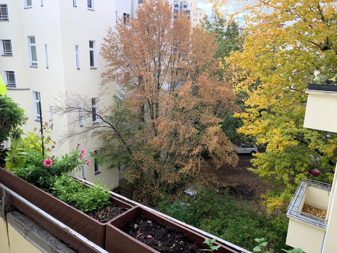 2 Zimmer Wohnung mit 72 m² in Berlin – Bild 3