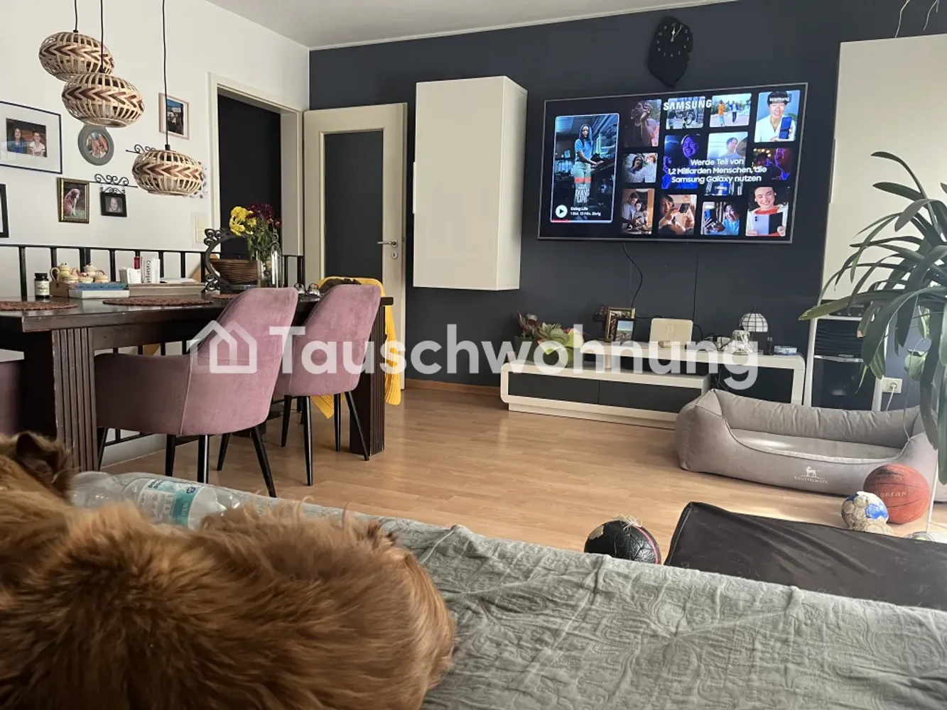 3 Zimmer Wohnung mit 74 m² in Potsdam – Bild 2