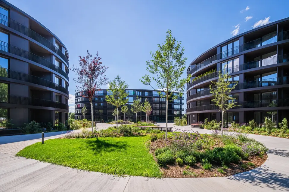 2 Zimmer Wohnung mit 69 m² in Dresden – Bild 4