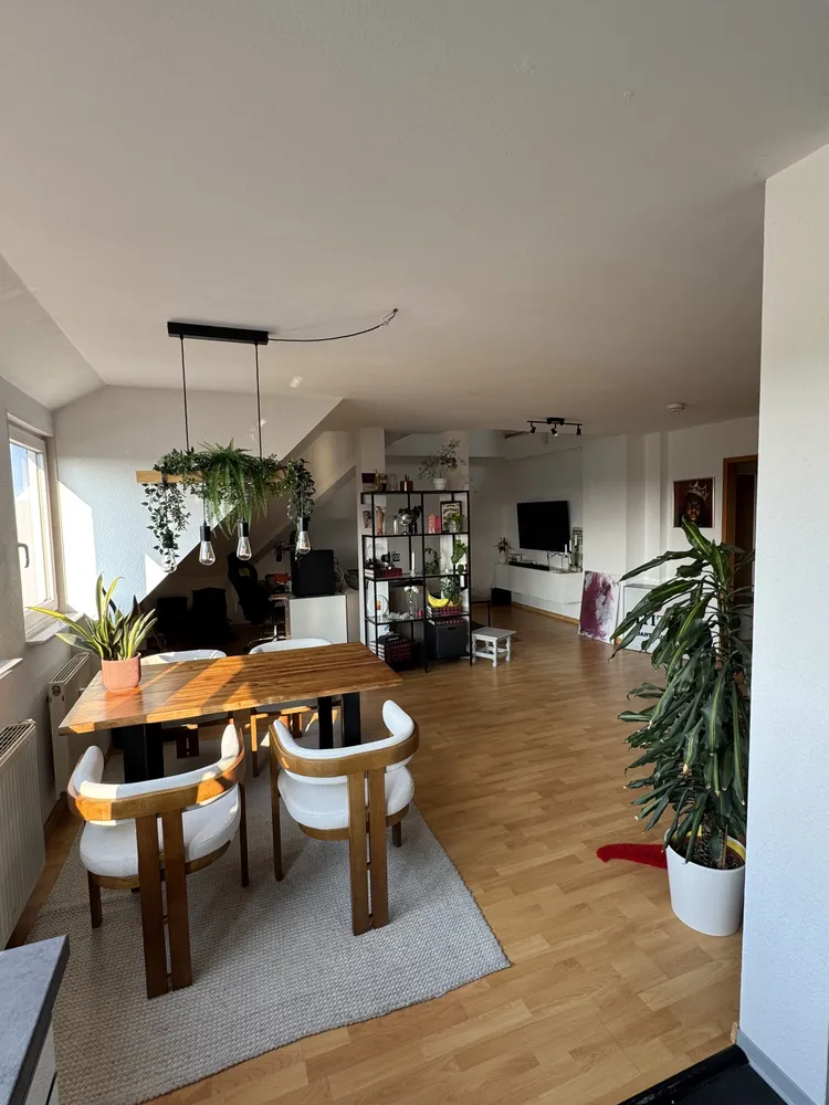 2 Zimmer Wohnung mit 80 m² in Dresden – Bild 3