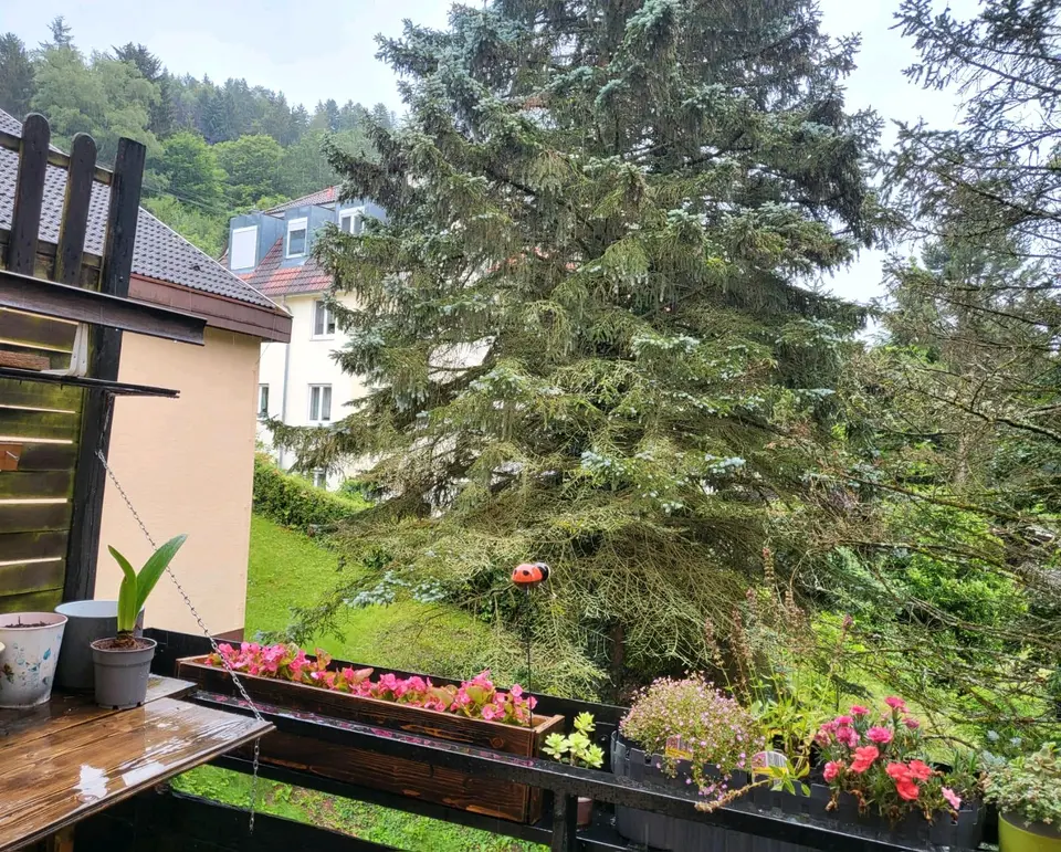 2 Zimmer Wohnung mit 36 m² in Calw – Bild 9