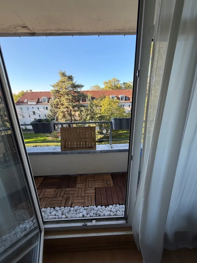 1 Zimmer Wohnung mit 35 m² in Dresden – Bild 4