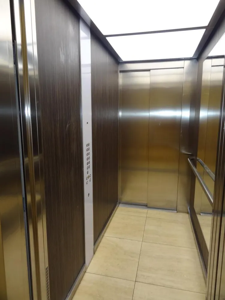 3 Zimmer Wohnung mit 87 m² in Dresden – Bild 4