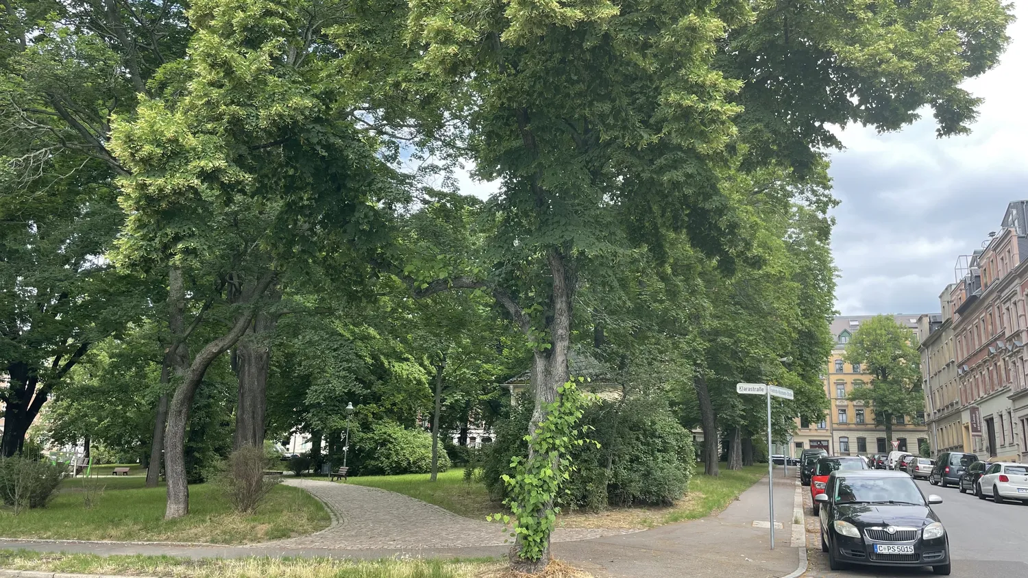 2 Zimmer Wohnung mit 35 m² in Chemnitz – Bild 2