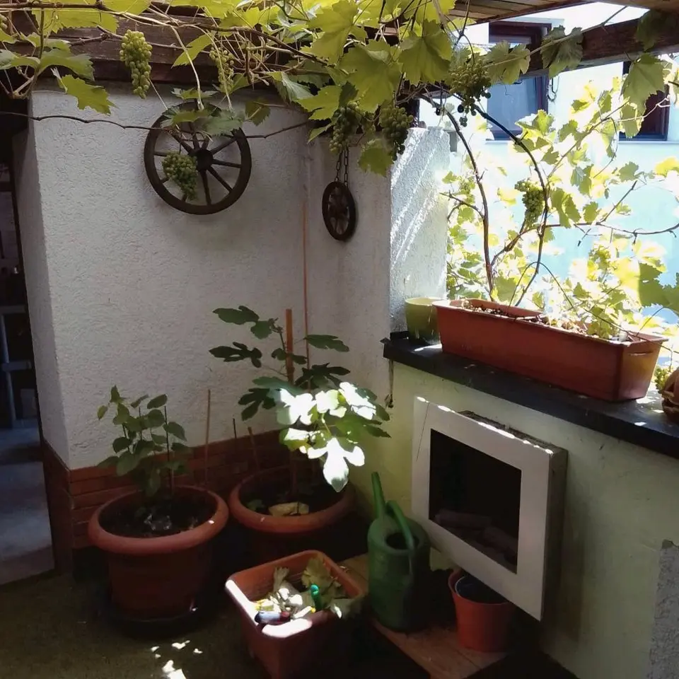 WG-Zimmer mit 62 m² in Zittau – Bild 9