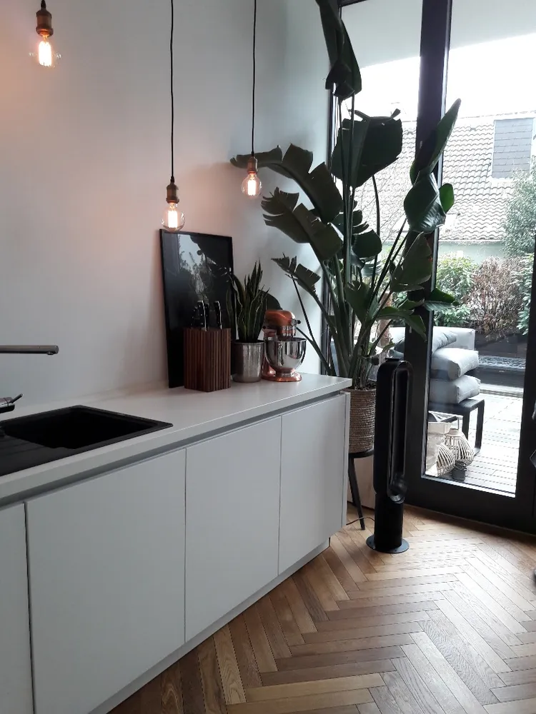 3 Zimmer Wohnung mit 190 m² in Bonn – Bild 2