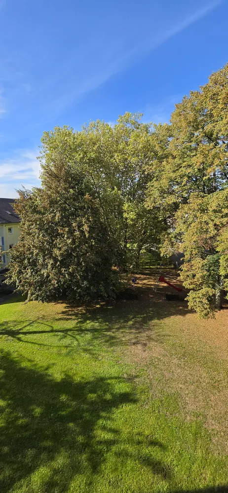 3 Zimmer Wohnung mit 70 m² in Leverkusen – Bild 8
