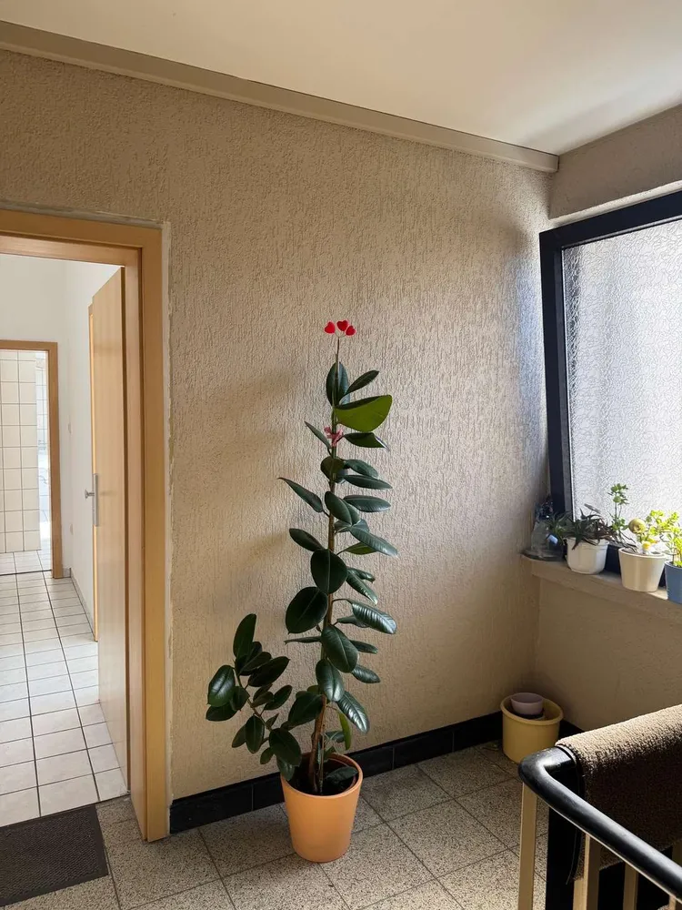 2 Zimmer Wohnung mit 56 m² in Duisburg – Bild 3