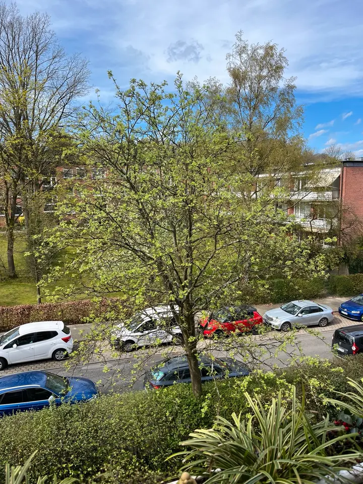 WG-Zimmer mit 60 m² in Winsen (Luhe) – Bild 3
