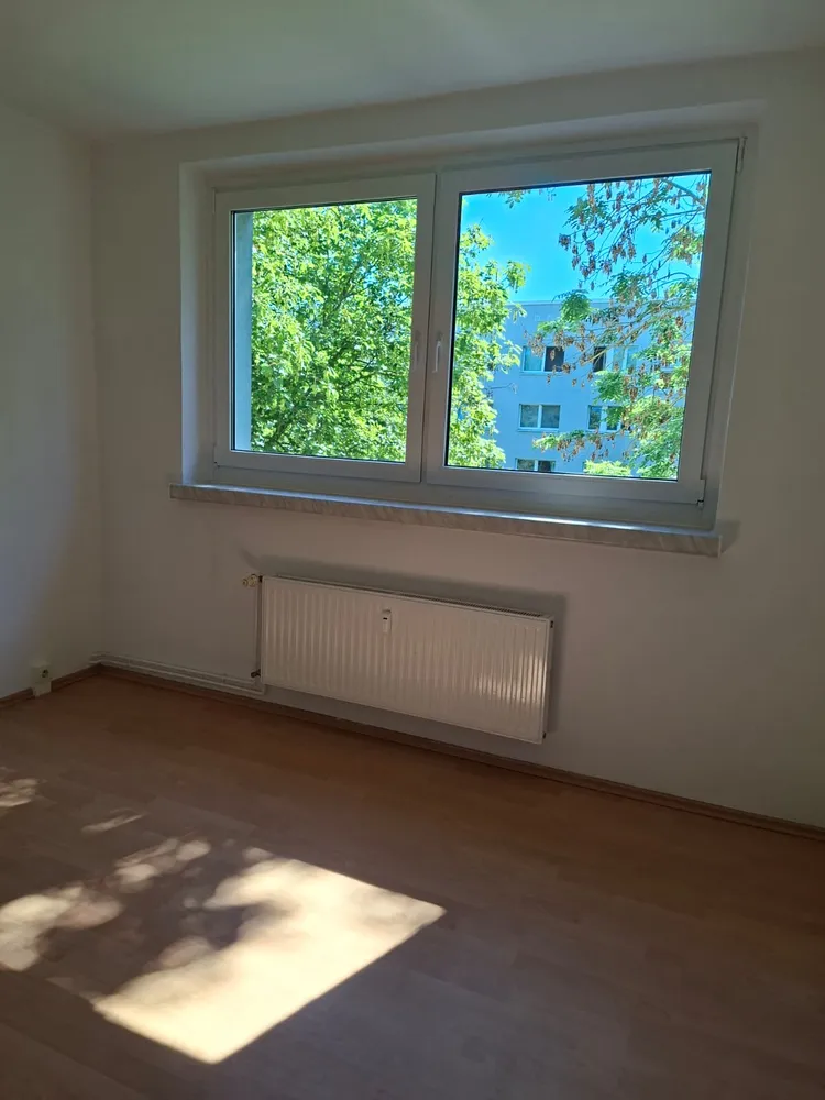 3 room apartment with 60 m² in Magdeburg – Photo 10