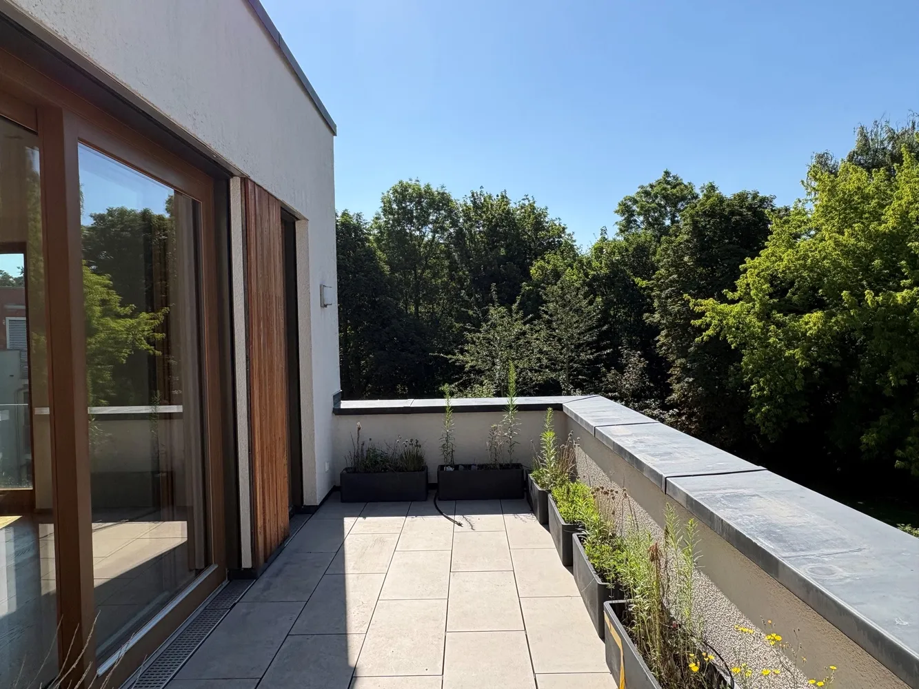 3 Zimmer Wohnung mit 102 m² in Dresden – Bild 2