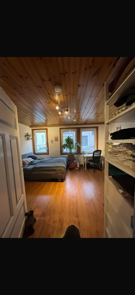 1 Zimmer Wohnung mit 29 m² in Landau in der Pfalz – Bild 1