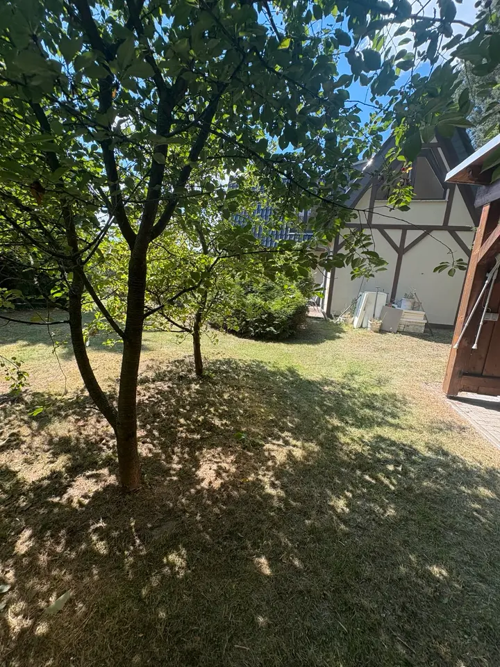4 Zimmer Haus mit 120 m² in Grimma – Bild 6