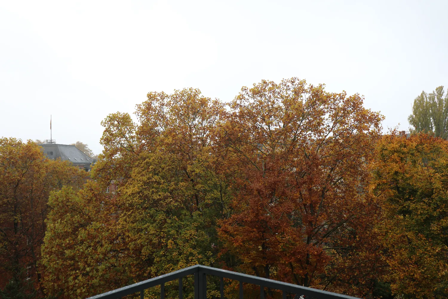 2 room apartment with 66 m² in Berlin – Photo 9