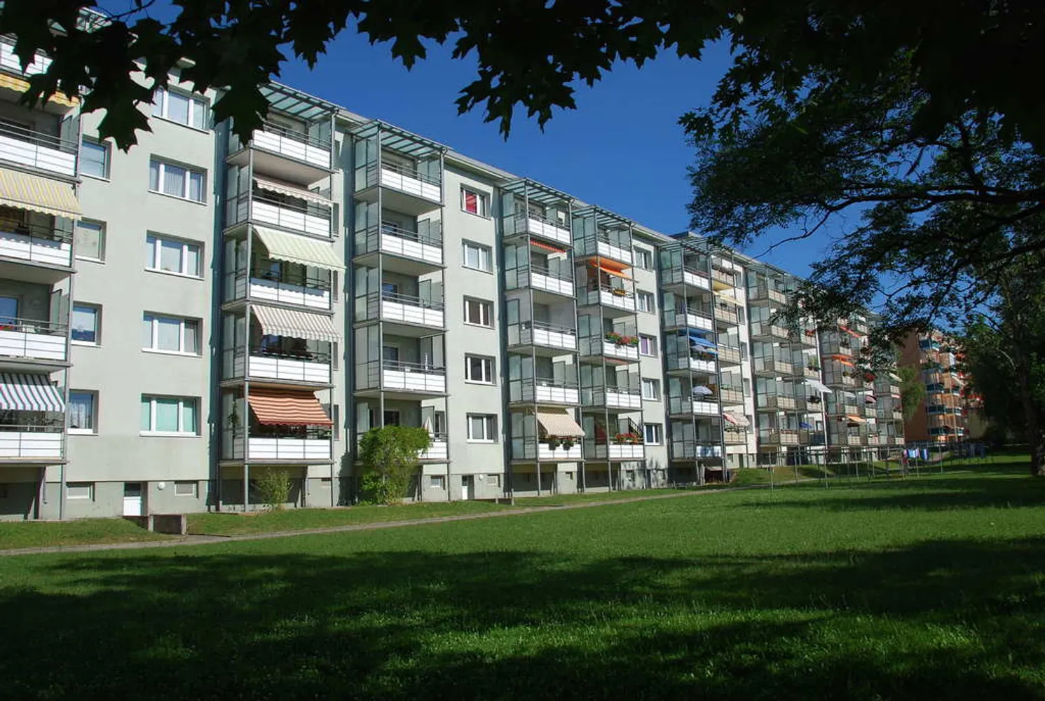 3 Zimmer Wohnung mit 60 m² in Chemnitz – Bild 4