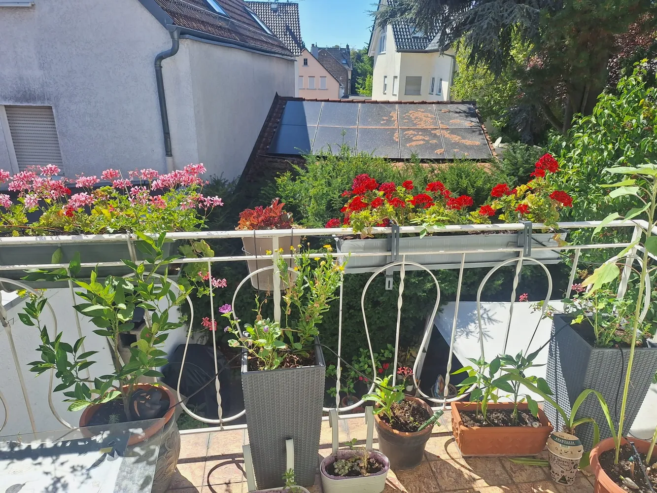 3 Zimmer Wohnung mit 71 m² in Frankfurt am Main – Bild 8