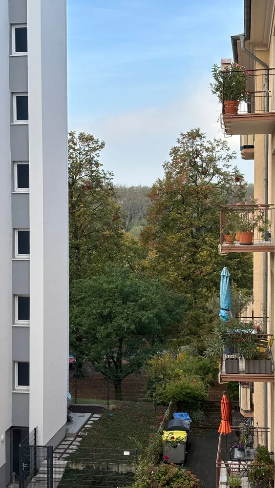 1 Zimmer Wohnung mit 39 m² in Mannheim – Bild 1