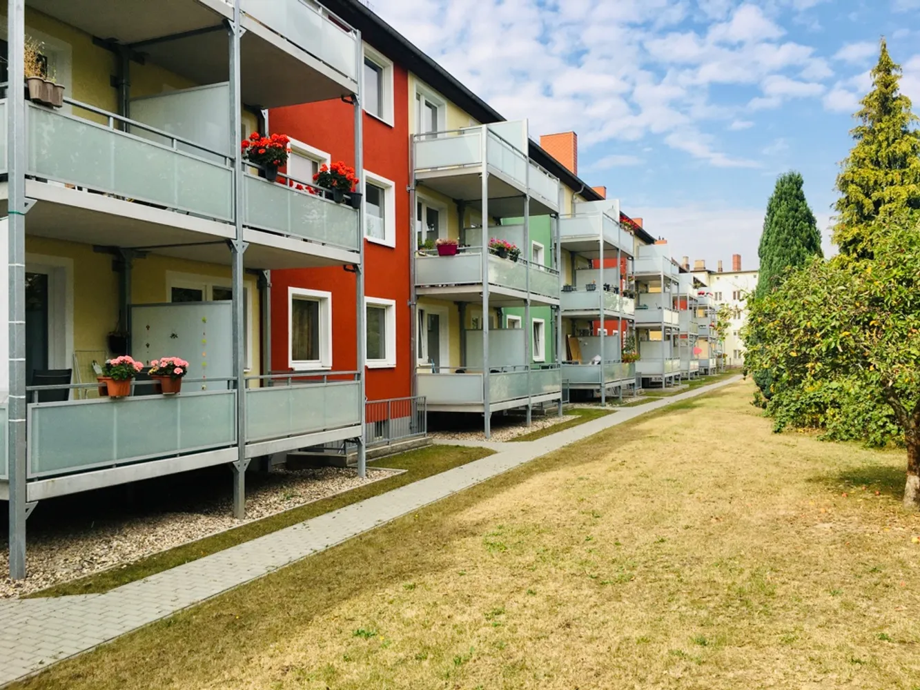 2 room apartment with 50 m² in Magdeburg – Photo 3
