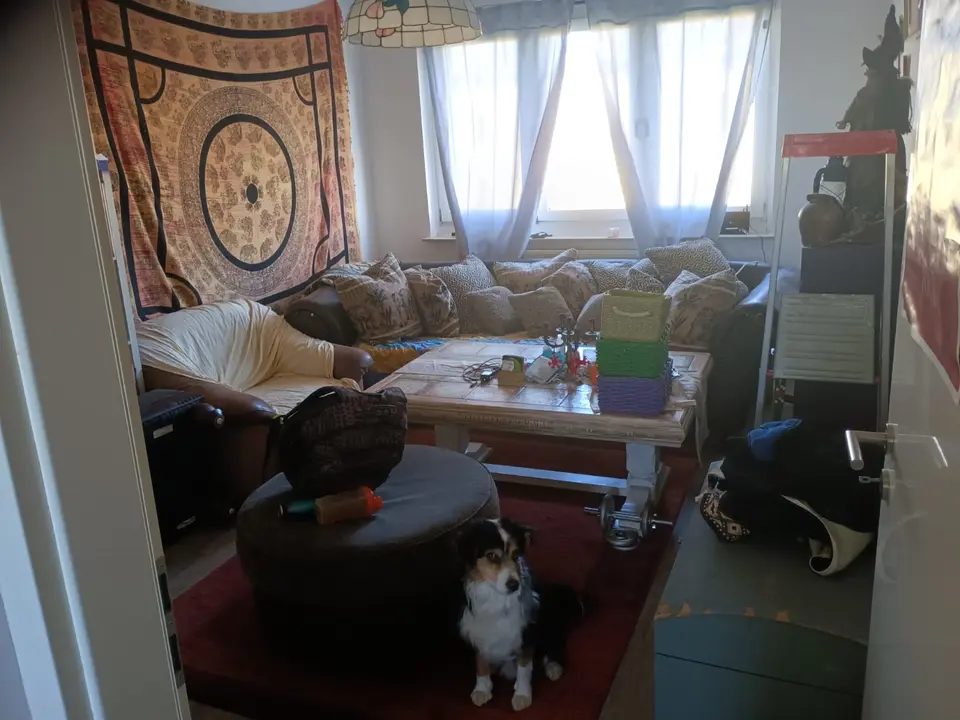 WG-Zimmer mit 50 m² in Stralsund – Bild 2