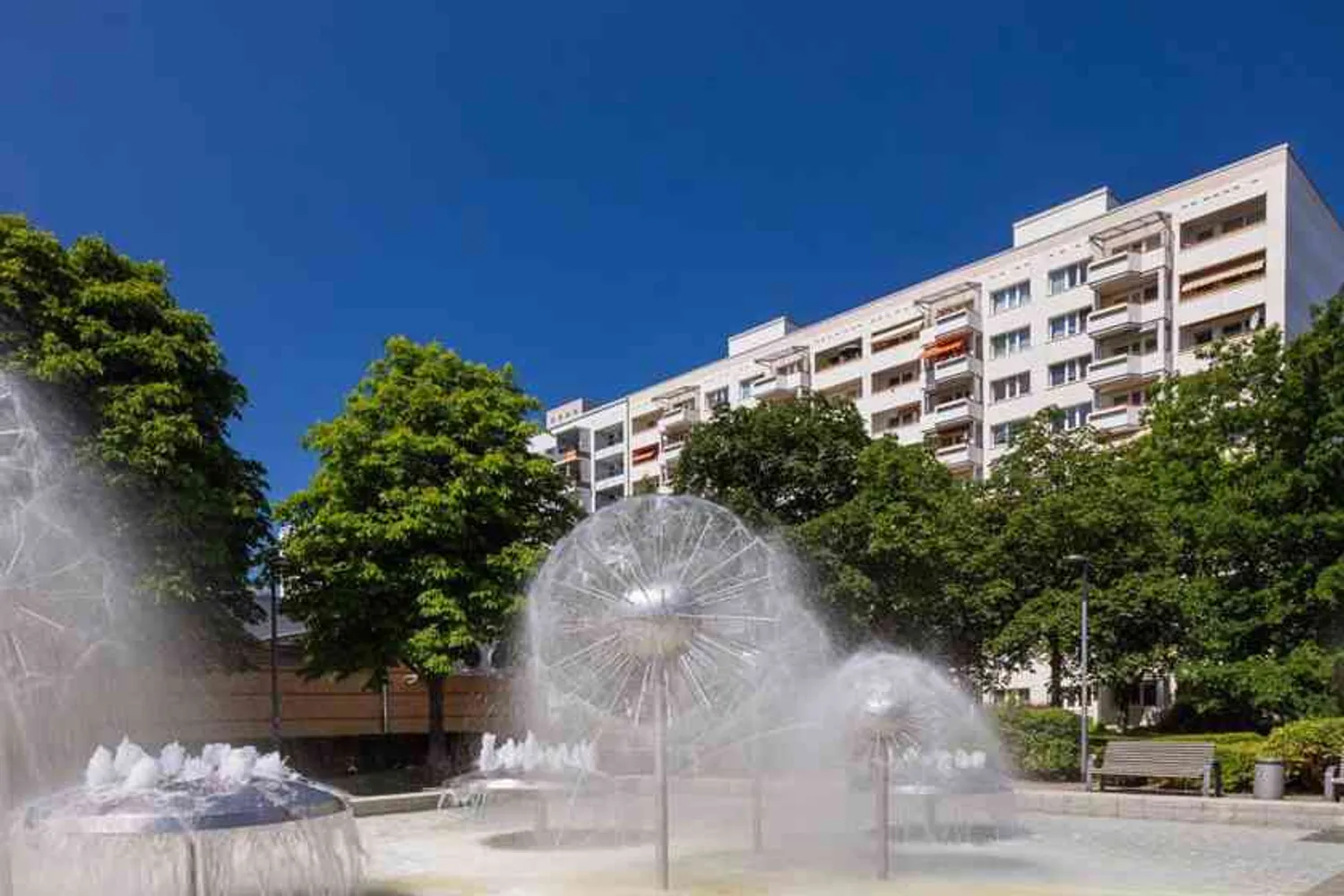 3 Zimmer Wohnung mit 80 m² in Dresden – Bild 1