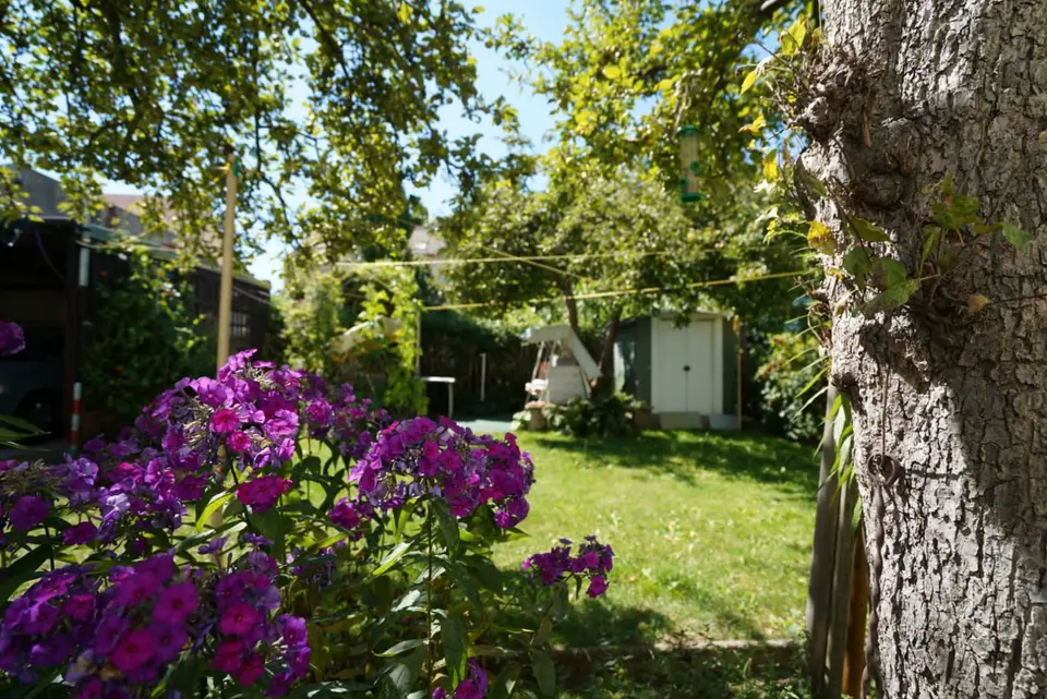 2 Zimmer Wohnung mit 59 m² in Zittau – Bild 2