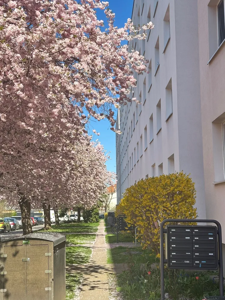 3 Zimmer Wohnung mit 57 m² in Dresden – Bild 1