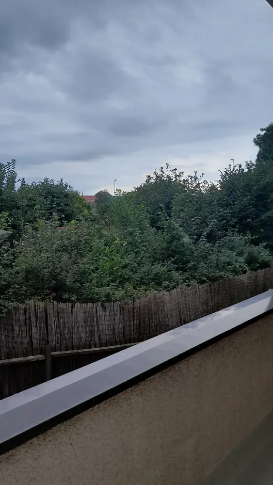 2 Zimmer Wohnung mit 51 m² in Dresden – Bild 7