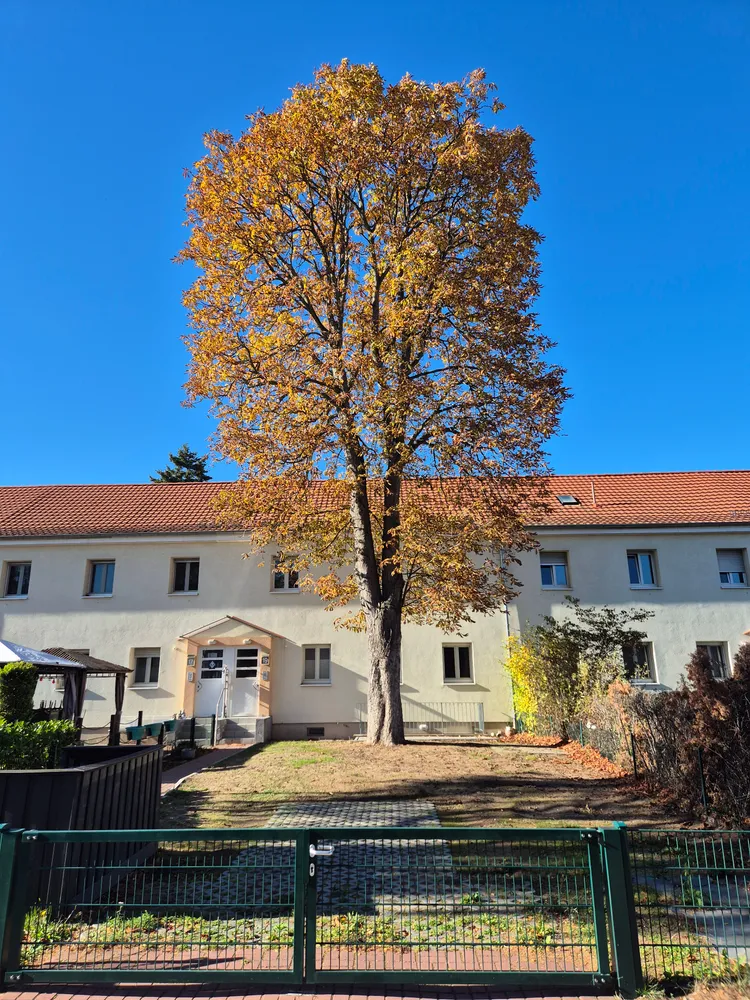 3 Zimmer Wohnung mit 69 m² in Mannheim – Bild 10