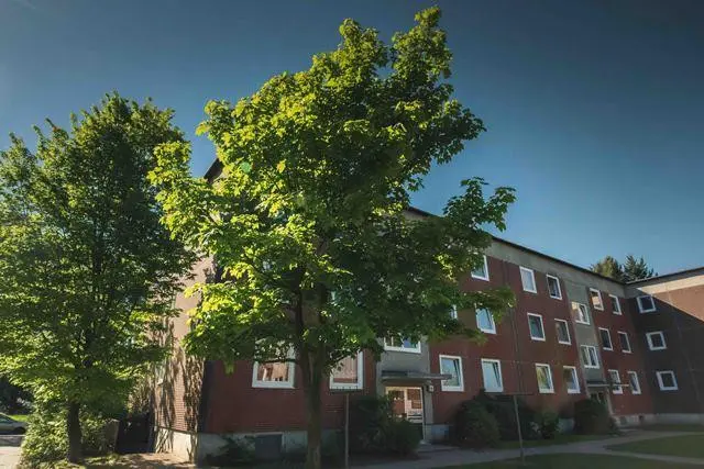 3 Zimmer Wohnung mit 78 m² in Winsen (Luhe) – Bild 6