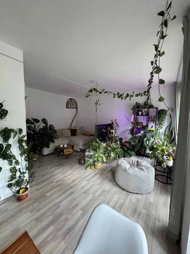 3 Zimmer Wohnung mit 58 m² in Duisburg – Bild 2