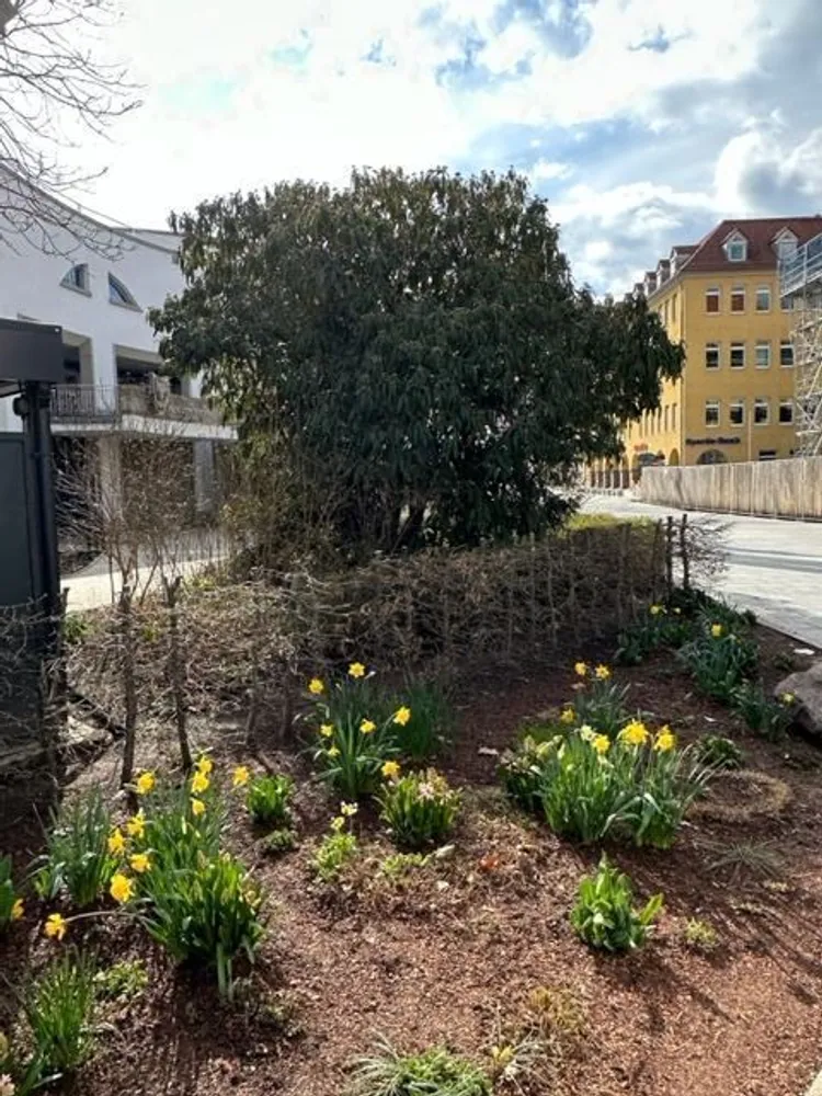 2 Zimmer Wohnung mit 55 m² in Schweinfurt – Bild 7