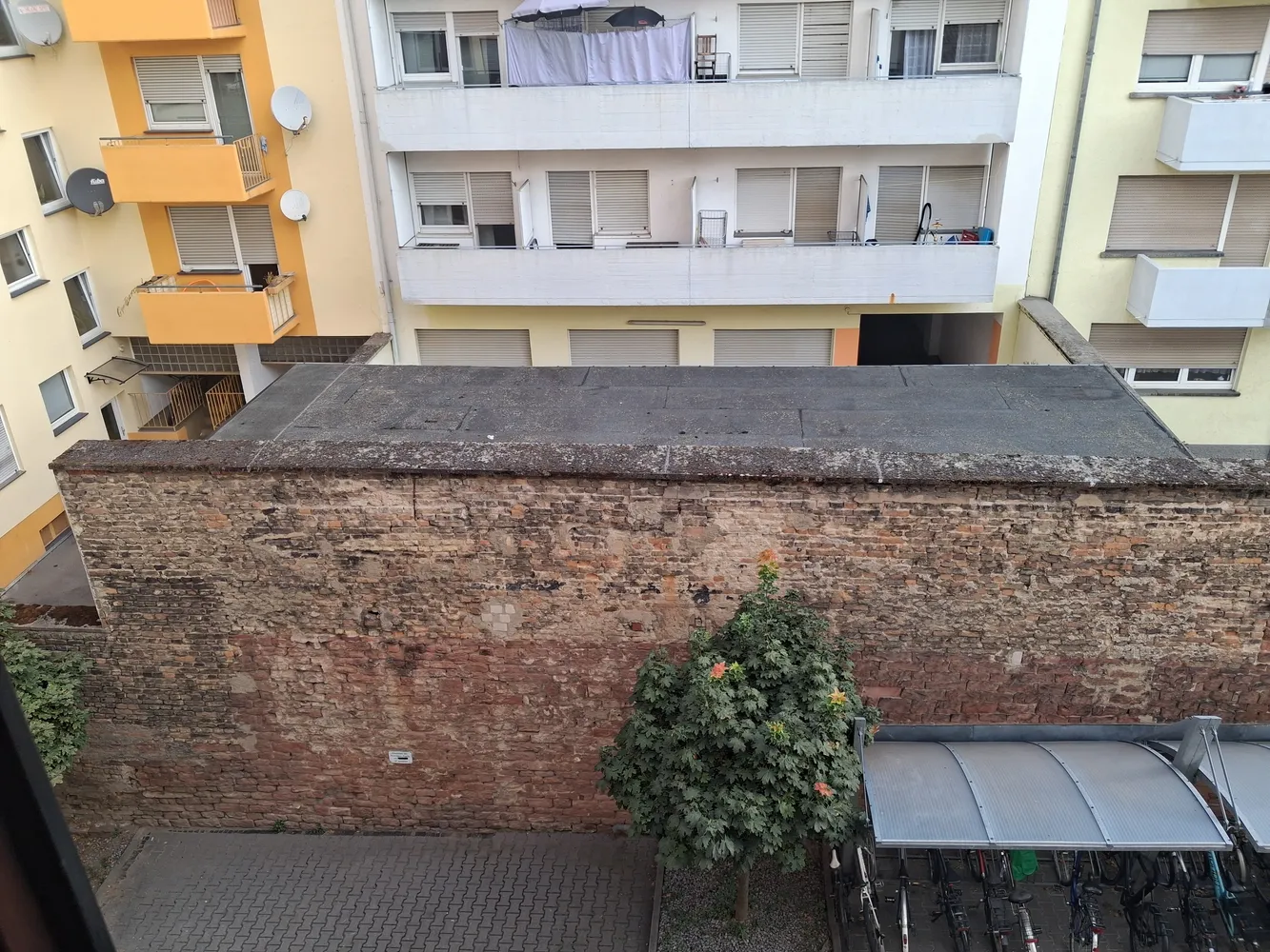 1 Zimmer Wohnung mit 20 m² in Mannheim – Bild 1
