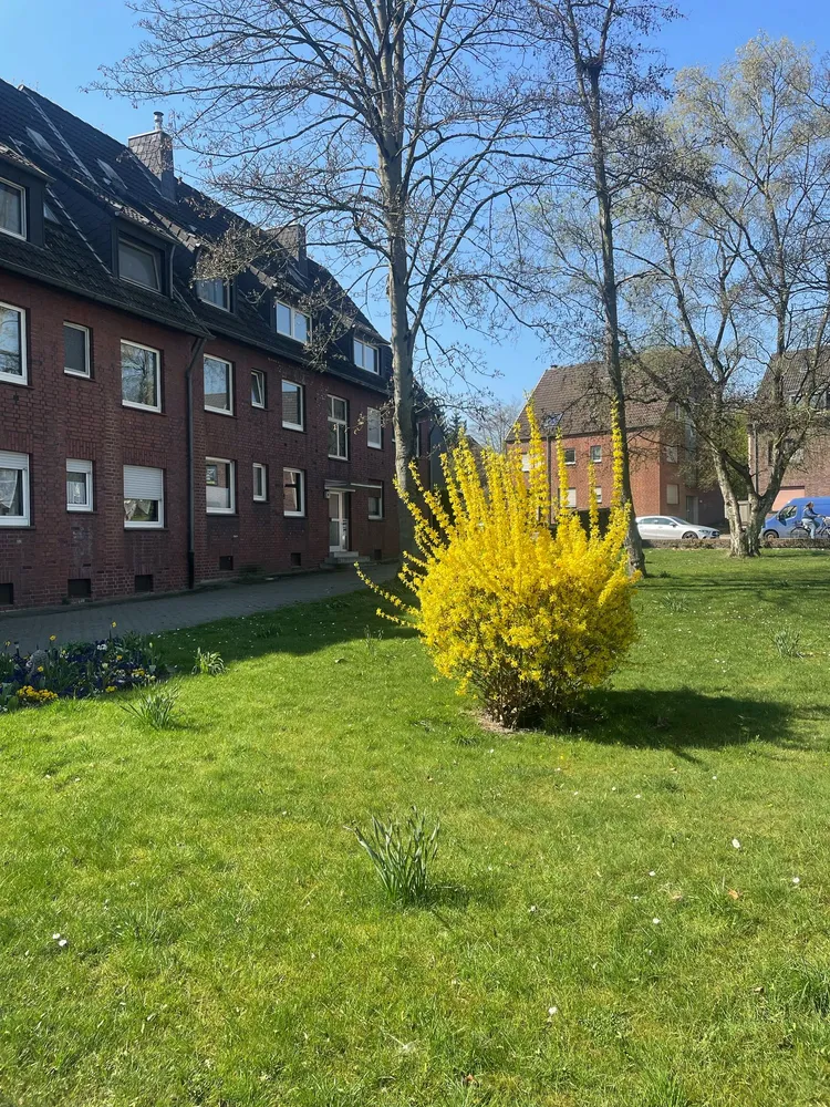 3 Zimmer Wohnung mit 66 m² in Oberhausen – Bild 1