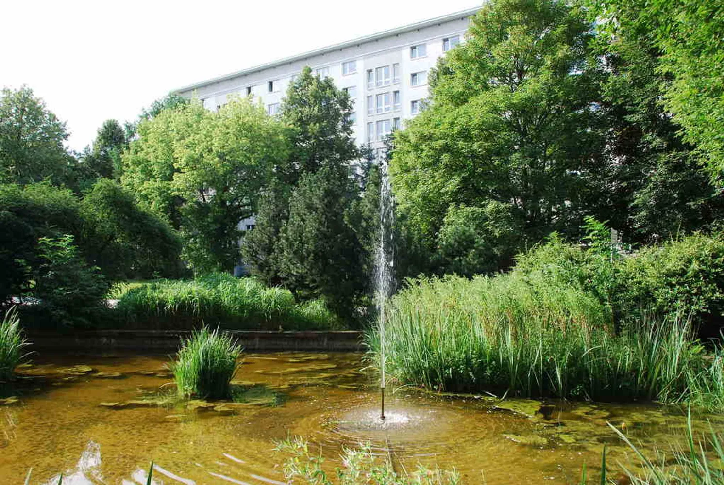 2 room apartment with 54 m² in Chemnitz – Photo 4