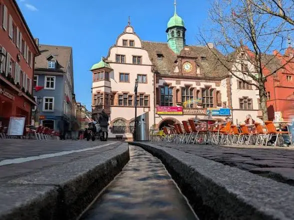 2 Zimmer Wohnung mit 12 m² in Freiburg im Breisgau – Bild 5